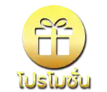 โปรโมชั่น